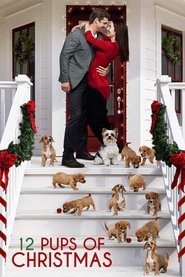 12 Pups of Christmas 12 Pups of Christmas