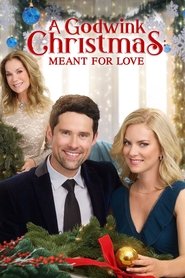 A Godwink Christmas: Meant For Love A Godwink Christmas: Meant For Love