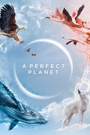 A Perfect Planet A Perfect Planet