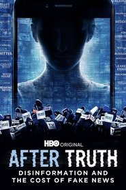 After Truth: Disinformation and the Cost of Fake News After Truth: Disinformation and the Cost of Fake News