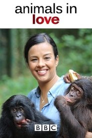 Animals in Love Season 1 Episode 1