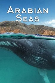 Arabian Seas Season 1 Episode 4