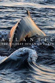 Atlantic: The Wildest Ocean on Earth Season 1 Episode 1