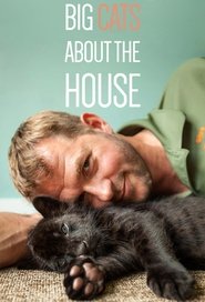 Big Cats About The House Big Cats About The House