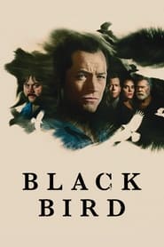 Black Bird Black Bird