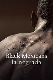 Black Mexicans Black Mexicans