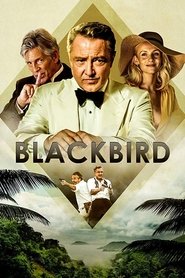Blackbird Blackbird