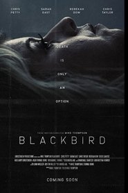 Blackbird Blackbird