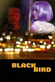 Blackbird Blackbird