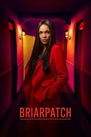 Briarpatch Season 1 Episode 1
