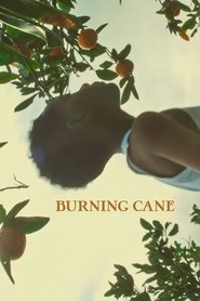 Burning Cane Burning Cane
