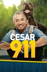 Cesar 911 Season 3 Episode 8