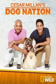 Cesar Millan’s Dog Nation Season 1 Episode 6