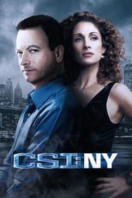 CSI: NY Season 3 Episode 20