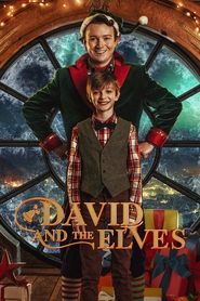 David and the Elves David and the Elves