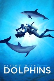 Diving with Dolphins Diving with Dolphins