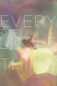 Every Little Thing Every Little Thing