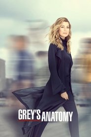 Grey’s Anatomy Season 18 Episode 17