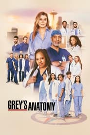 Grey’s Anatomy Season 21 Episode 14