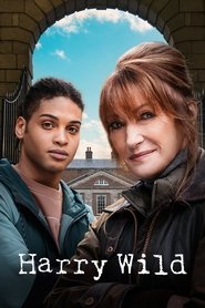 Harry Wild Season 1 Episode 4