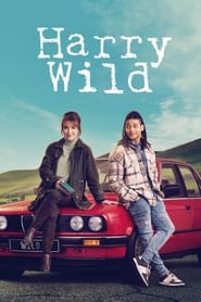 Harry Wild Season 4 Episode 2