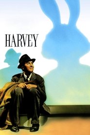 Harvey Harvey