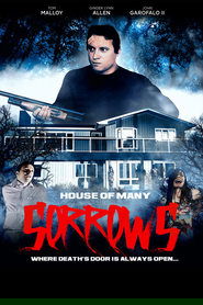 House of Many Sorrows House of Many Sorrows