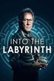 Into the Labyrinth Into the Labyrinth