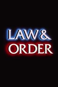 Law & Order Season 21 Episode 9