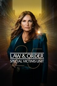 Law & Order: Special Victims Unit Season 13 Episode 11