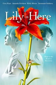 Lily Is Here Lily Is Here
