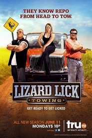 Lizard Lick Towing Lizard Lick Towing