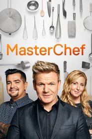 MasterChef Season 17 Episode 13