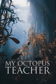My Octopus Teacher My Octopus Teacher