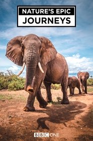 Nature’s Epic Journeys Season 1 Episode 1