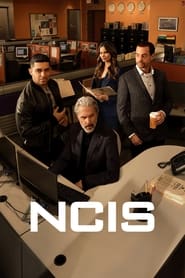NCIS Season 22 Episode 11
