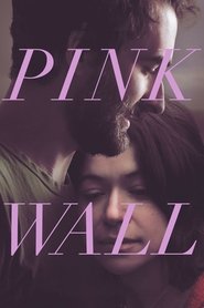 Pink Wall Pink Wall