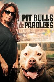 Pit Bulls and Parolees Season 10 Episode 1