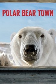 Polar Bear Town Season 1 Episode 12