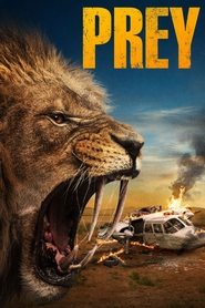 Prey Prey