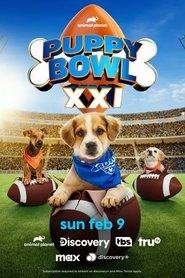 Puppy Bowl XXI Puppy Bowl XXI
