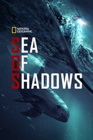 Sea of Shadows Sea of Shadows