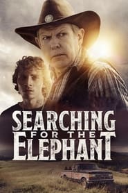 Searching for the Elephant Searching for the Elephant