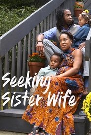 Seeking Sister Wife Season 1 Episode 6