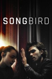 Songbird Songbird