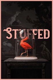 Stuffed Stuffed