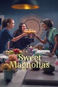 Sweet Magnolias Season 4 Episode 9