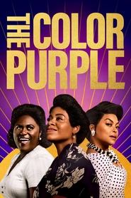The Color Purple The Color Purple