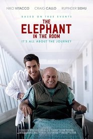 The Elephant In The Room The Elephant In The Room