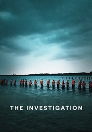 The Investigation The Investigation